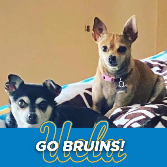 bruins1993